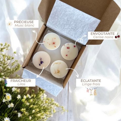 Box printanière